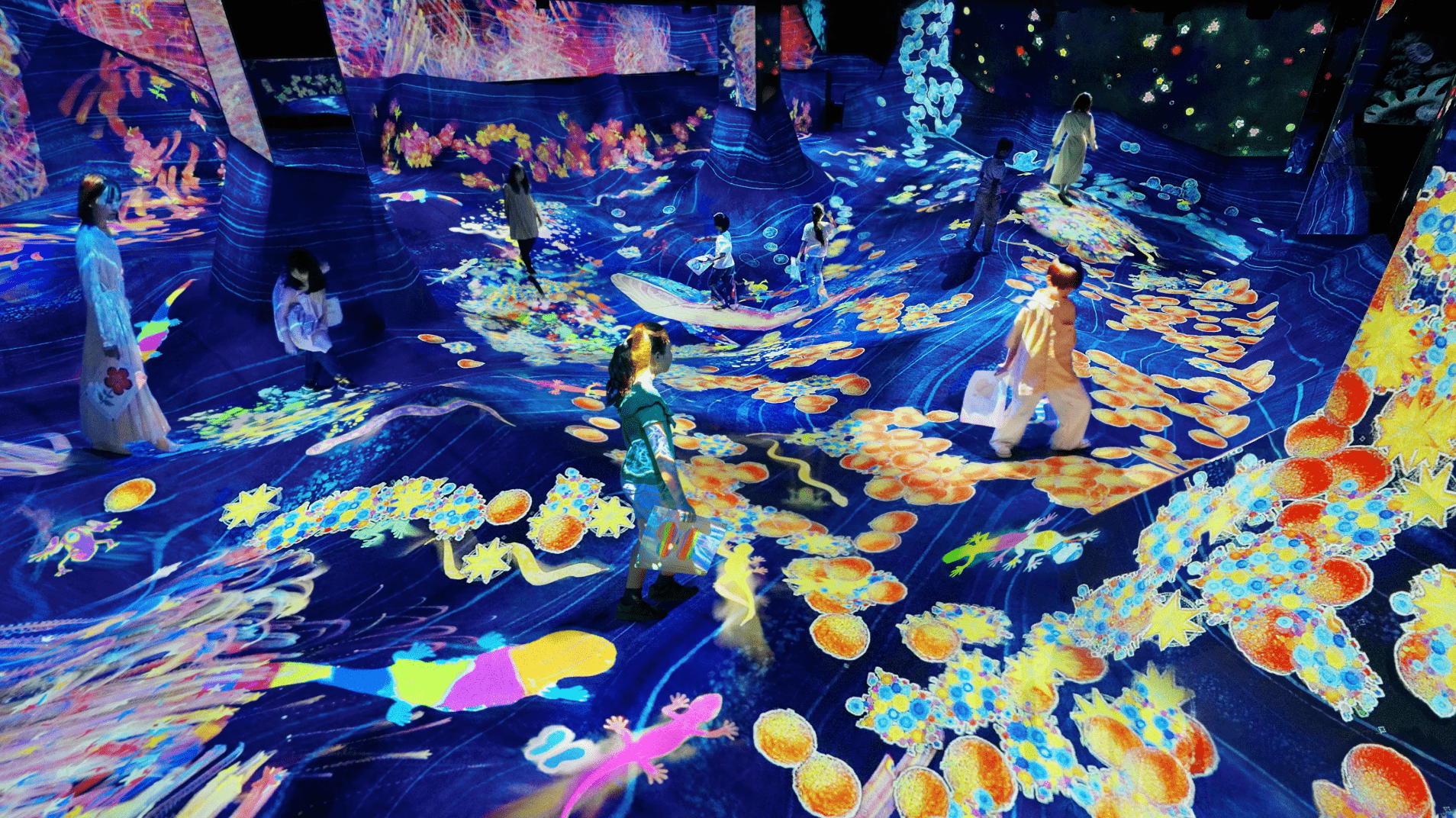 京都teamLab 2025｜全新Biovortex概念解析